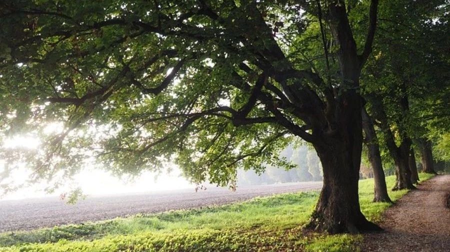 【网格】01：系列前言-析模界