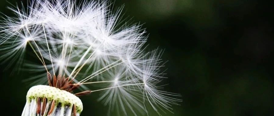 OpenFOAM｜验证11 三角形腔体内层流流动-析模界