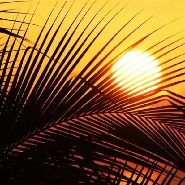 【Fluent GUI】05：Scheme[下]-析模界