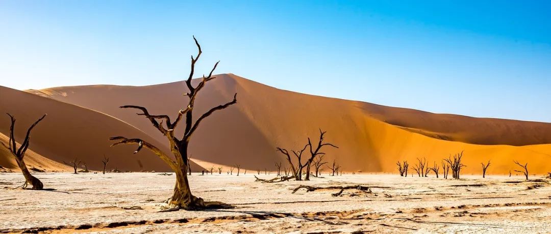 SU2编译安装-析模界