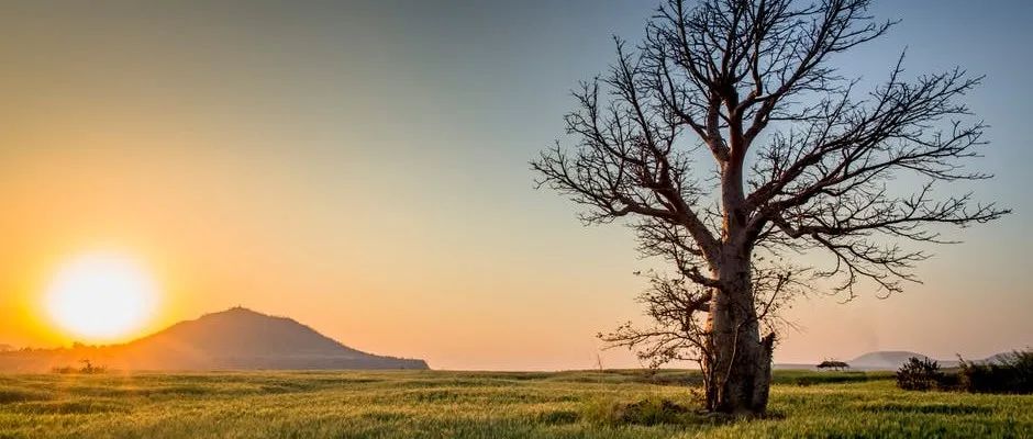 STAR CCM+案例｜挖掘机-析模界