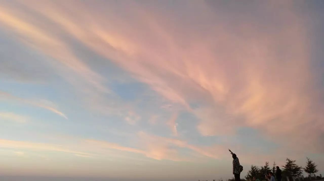 环境是如何杀死你的?-析模界