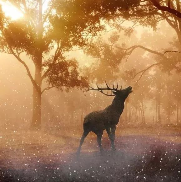 公众号征名-析模界