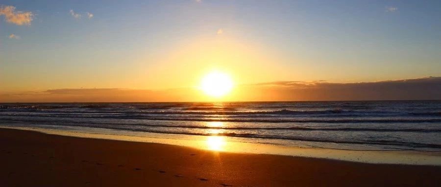 【Icepak案例】10：散热器优选-析模界