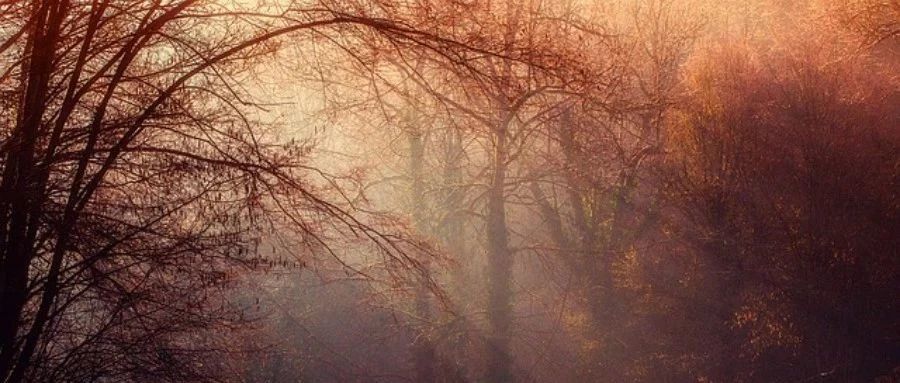 瞎扯蛋（IV）-析模界