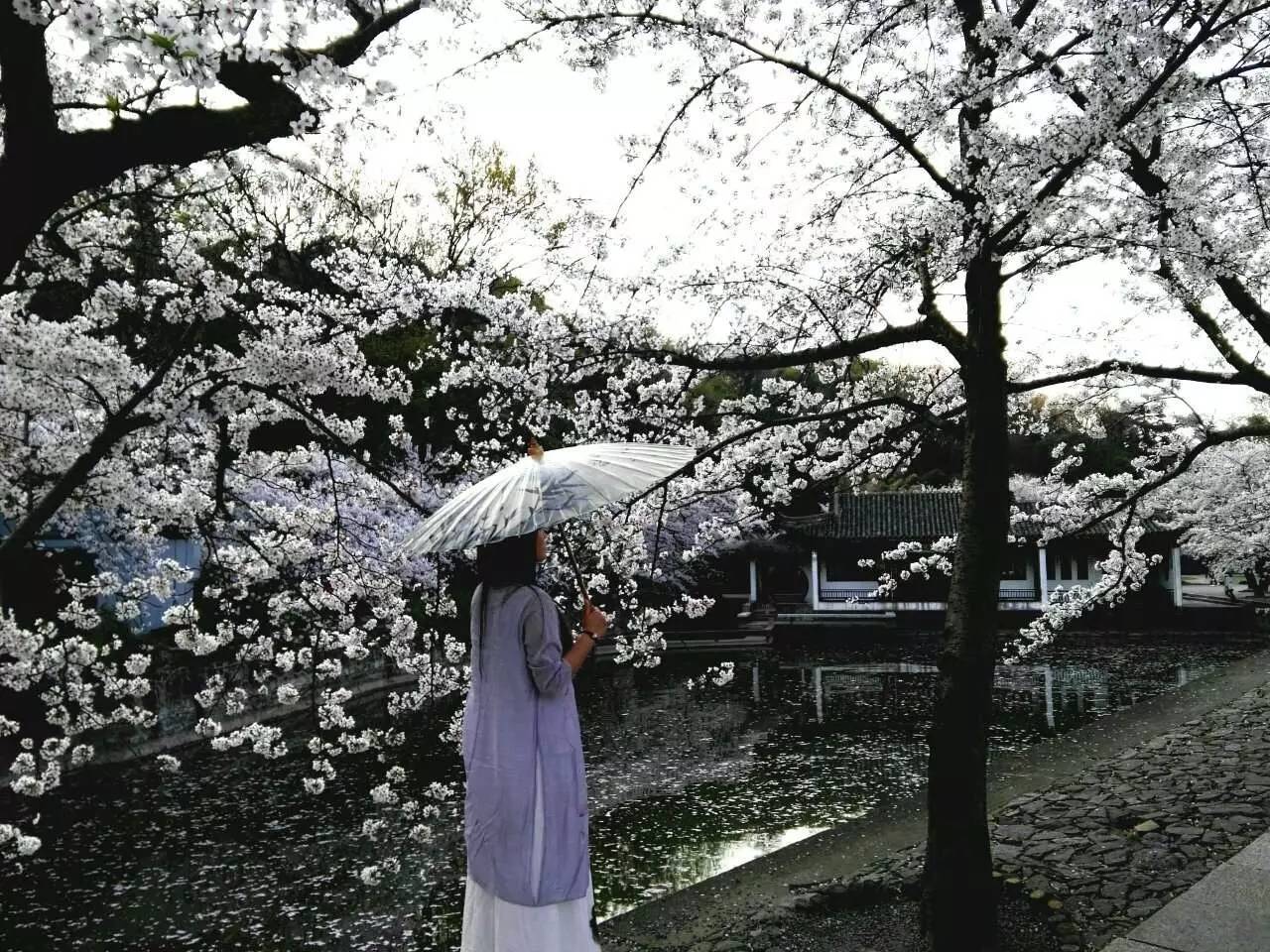 科研不爱你的肉体爱你的灵魂-析模界