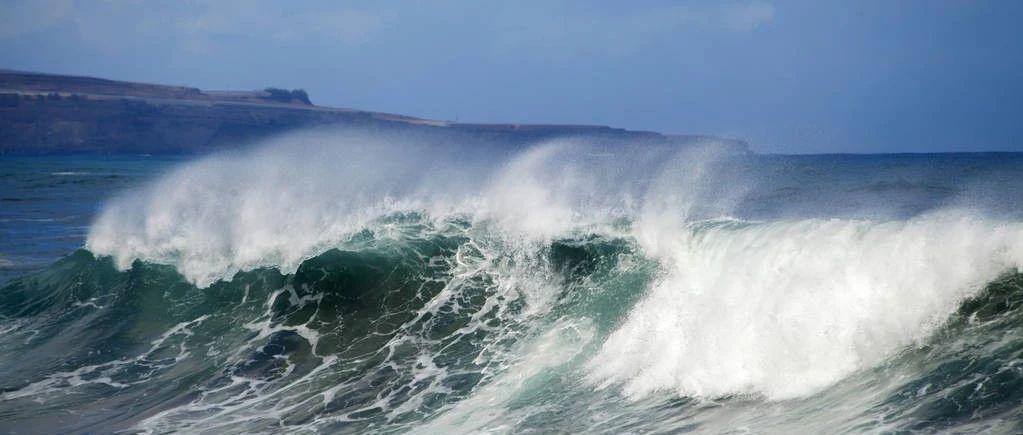 SRS模型|03 常用的SRS模型-析模界