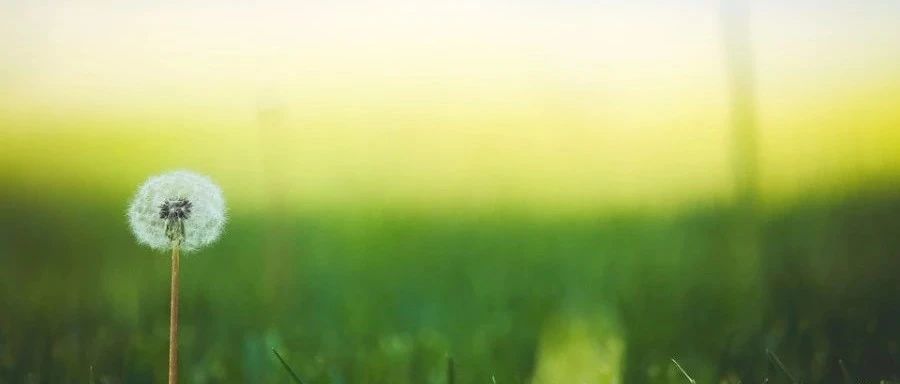 可压缩液体｜02 水击-析模界