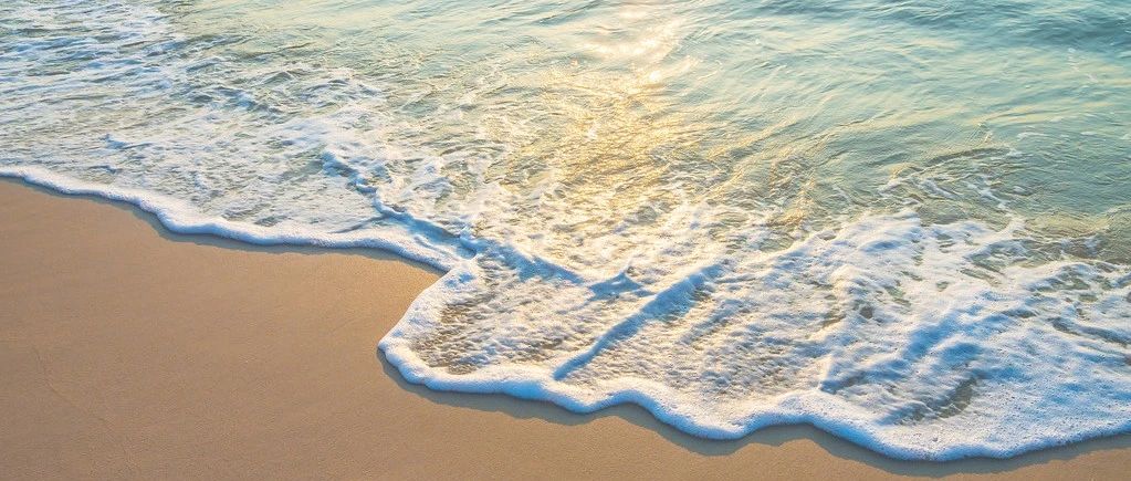 Fluent案例｜明渠波浪-析模界