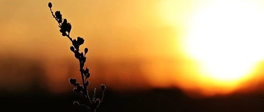 CFX案例|04 室内环境-析模界