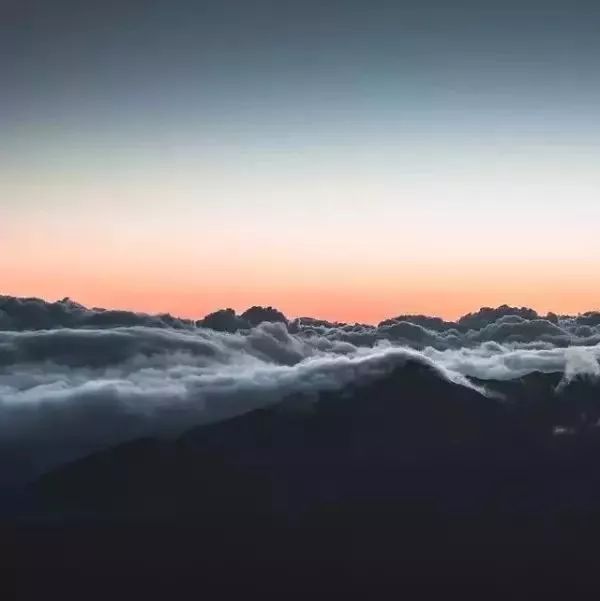 【流固耦合案例】02:柔性挡板2-析模界