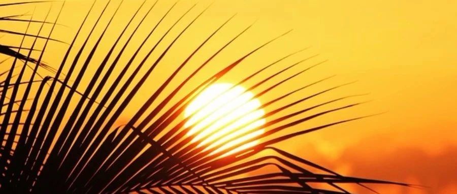 聊聊仿真培训-析模界