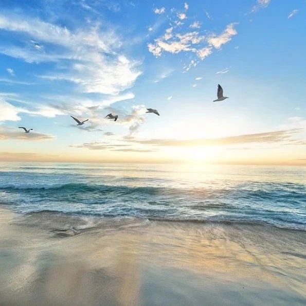 MHD｜04 指定磁场数据-析模界