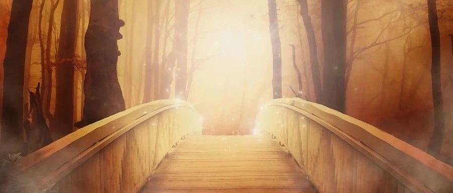 网格自适应｜04 各向异性自适应-析模界