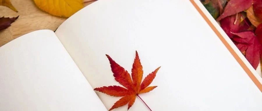 瞎扯蛋（V）-析模界