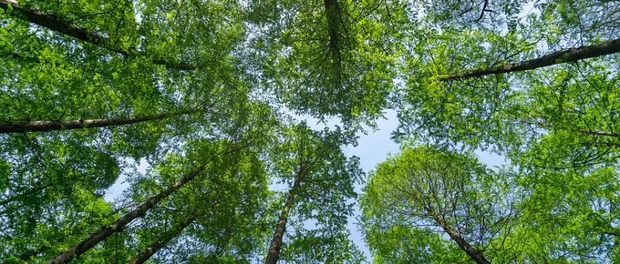 Fluent Tutorials｜26 电池模拟-析模界