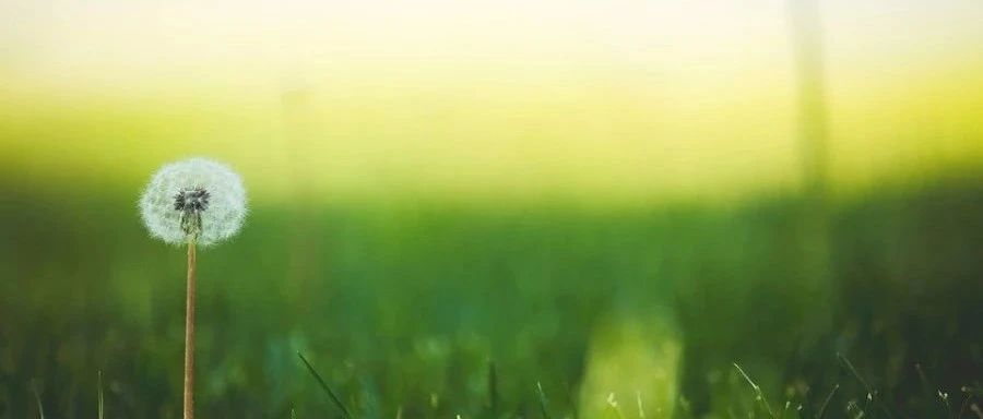 风扇模拟|01 三维风扇区域-析模界