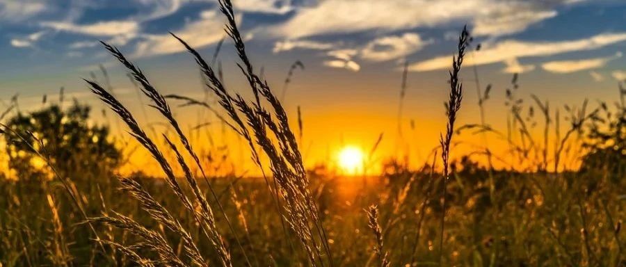 SimCapsule试用小记-析模界