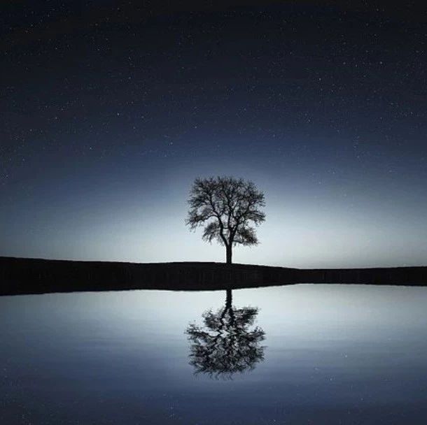 【多相流计算】案例03：凝固II-析模界