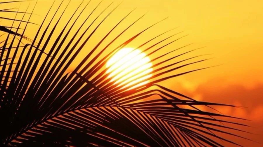 【Fluent GUI】01：YPlus与雷诺数-析模界