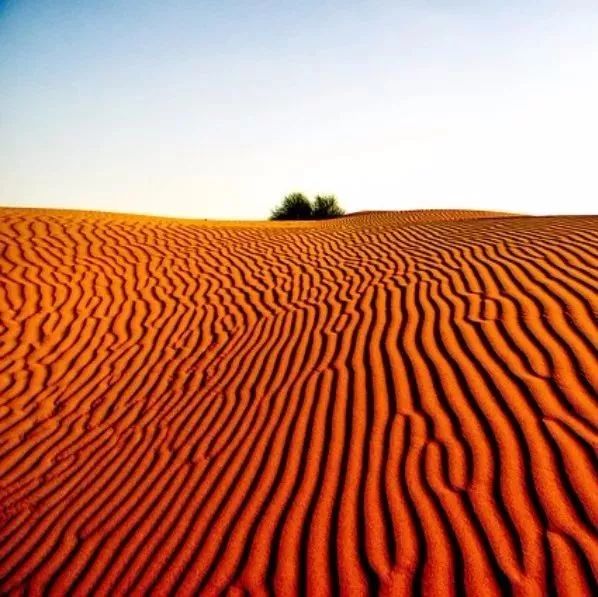 【Fluent案例】27：流化床2-析模界