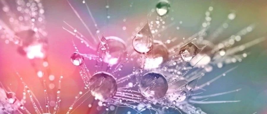 国产CFD软件FlowStar尝试小记-析模界