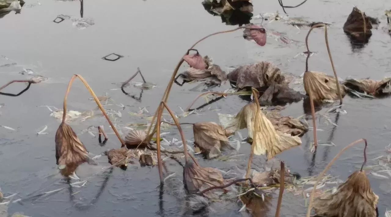 从前踢球的孩子挨打,现在打游戏的孩子挨骂-析模界