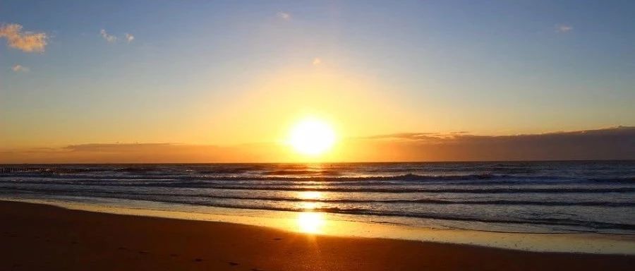 Fluent动参考系|02 离心泵MRF-析模界