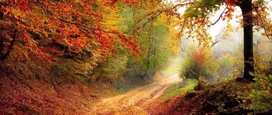 Fluent案例|双向流固耦合-析模界