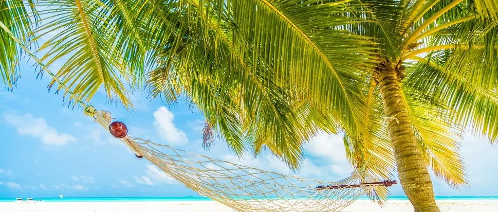 Fluent表达式及UDF求解温度反演问题-析模界