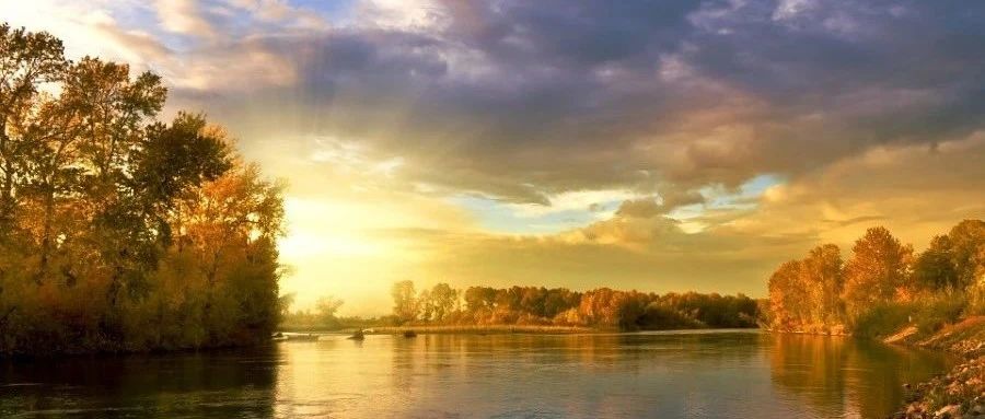 scFlow案例|29.1 体温调节模型-析模界