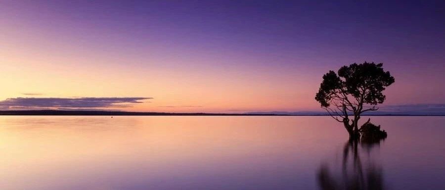 Fluent气动声学|06 应用波动方程模型-析模界