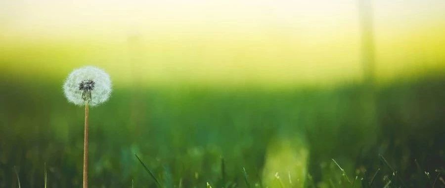 Fluent 2020R1新增功能-Part 1-析模界