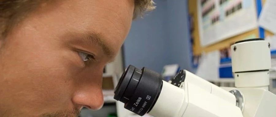 【Fluent实例】化学气相沉积模拟-析模界