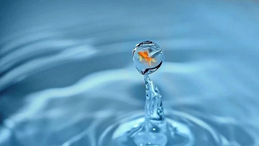 Fluent验证案例30：弯管-析模界