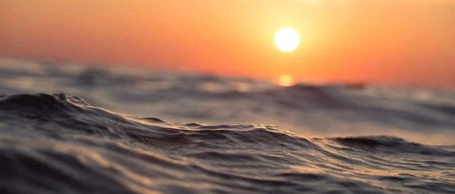 Fluent动参考系|06 垂直轴风力机-析模界