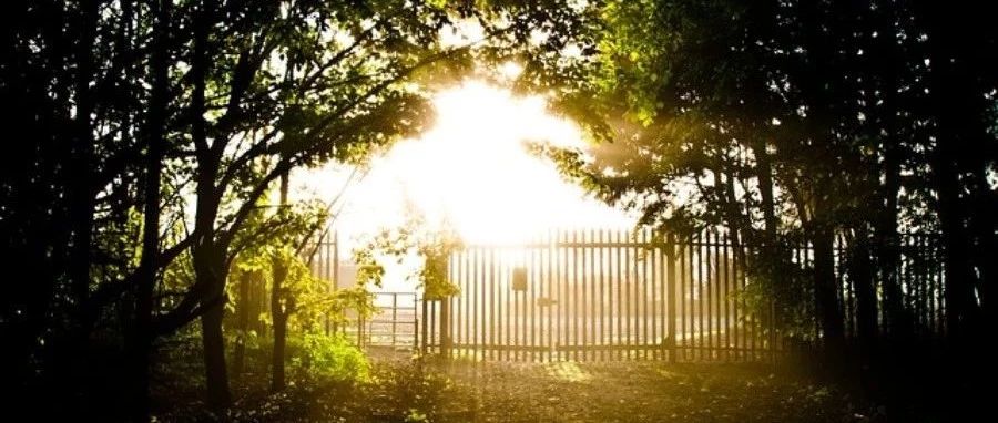 【Fluent Meshing】09:面网格重构-析模界