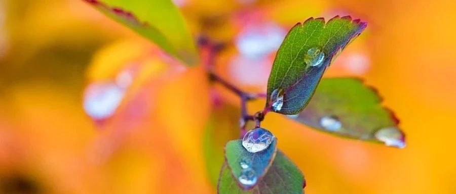 STAR CCM+｜11 三角腔体-析模界