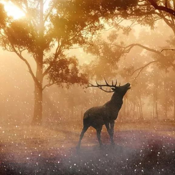 Trends and Challenges in CFD-析模界