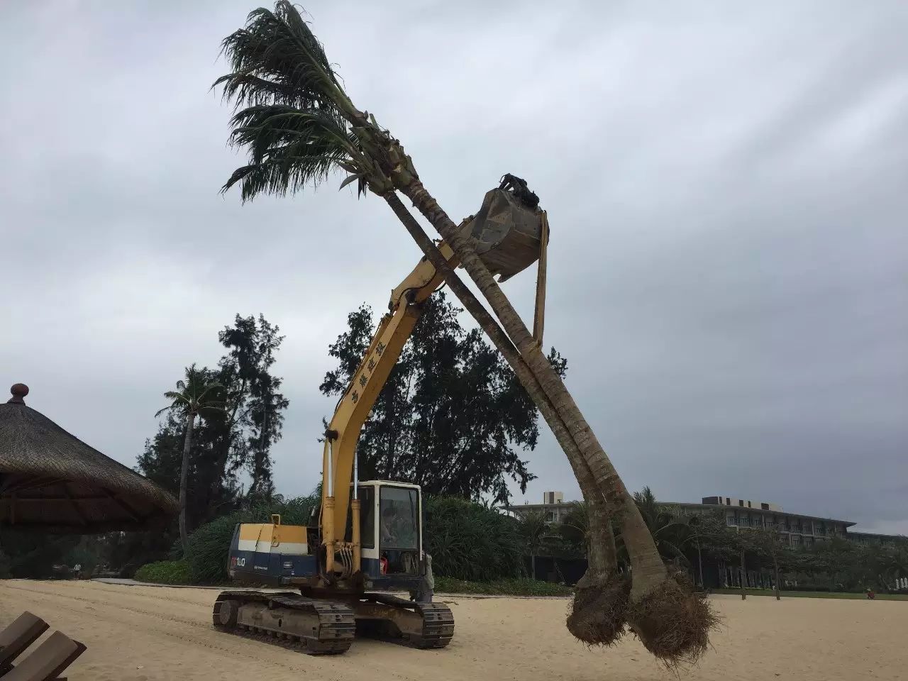 人工智能更懂研究、更有经验-析模界