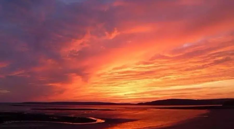 【Fluent案例】15:换热器-析模界