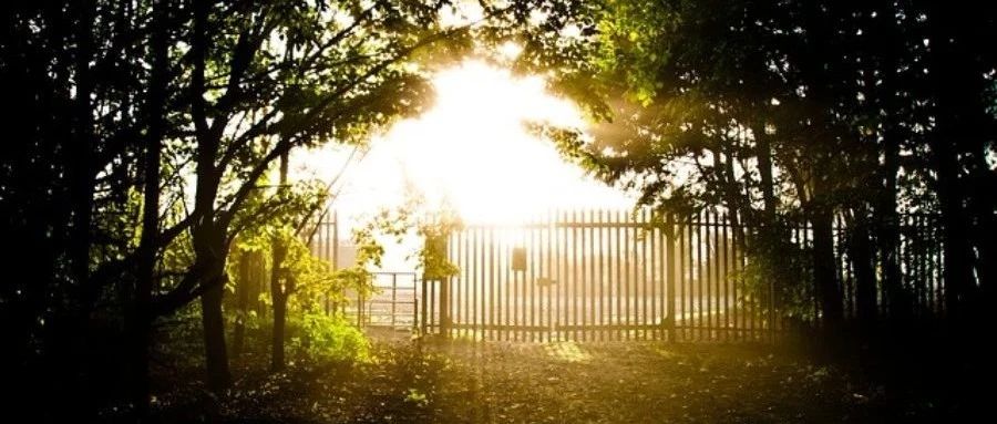 【STAR CCM+案例】02：通过均匀热通量管道的层流流动-析模界