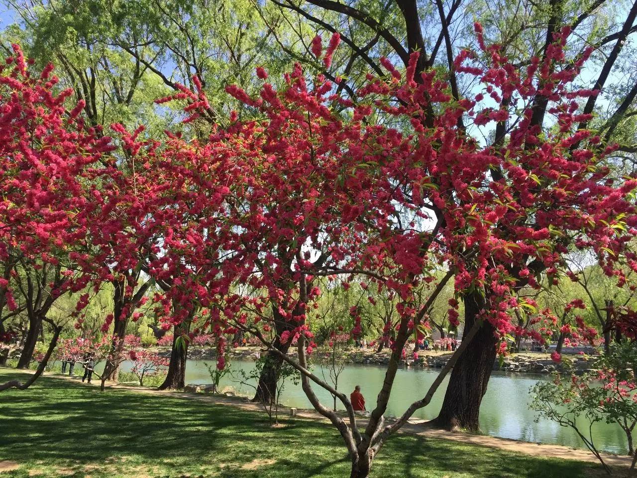 让技术成为商品——在互联网中流通、协作-析模界