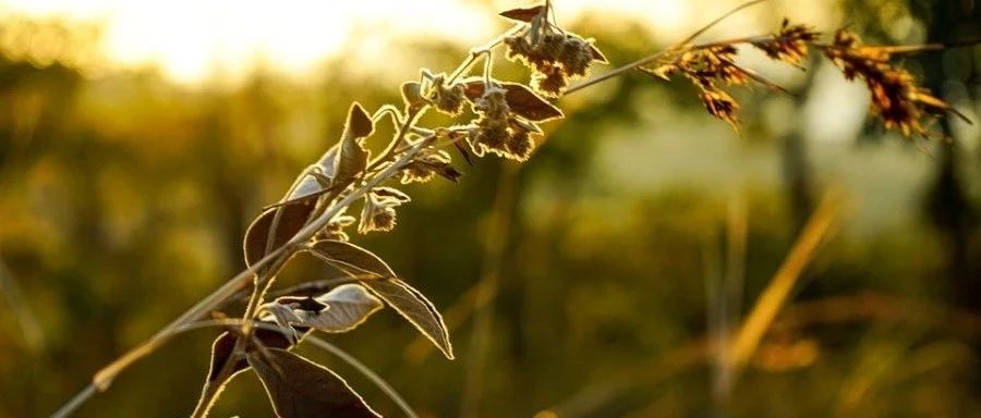 Julia CFD|06 数组操作-析模界