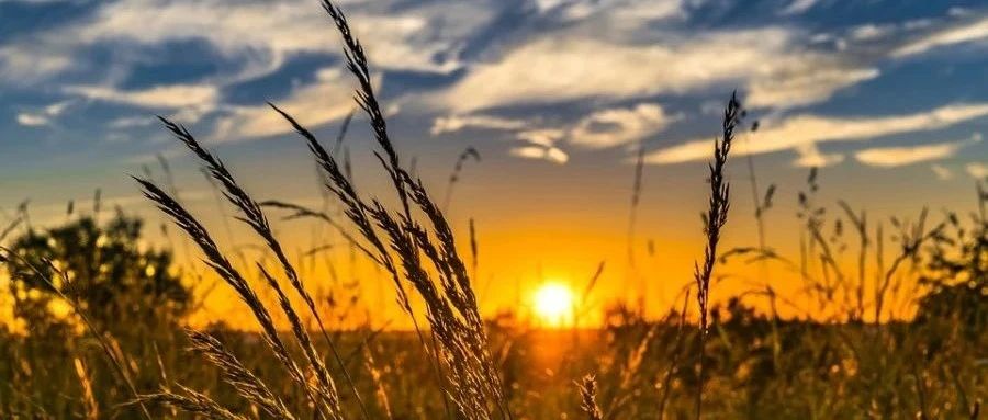 WSL中安装OpenFOAM2006-析模界