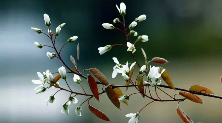 【耦合案例】共轭传热I-析模界