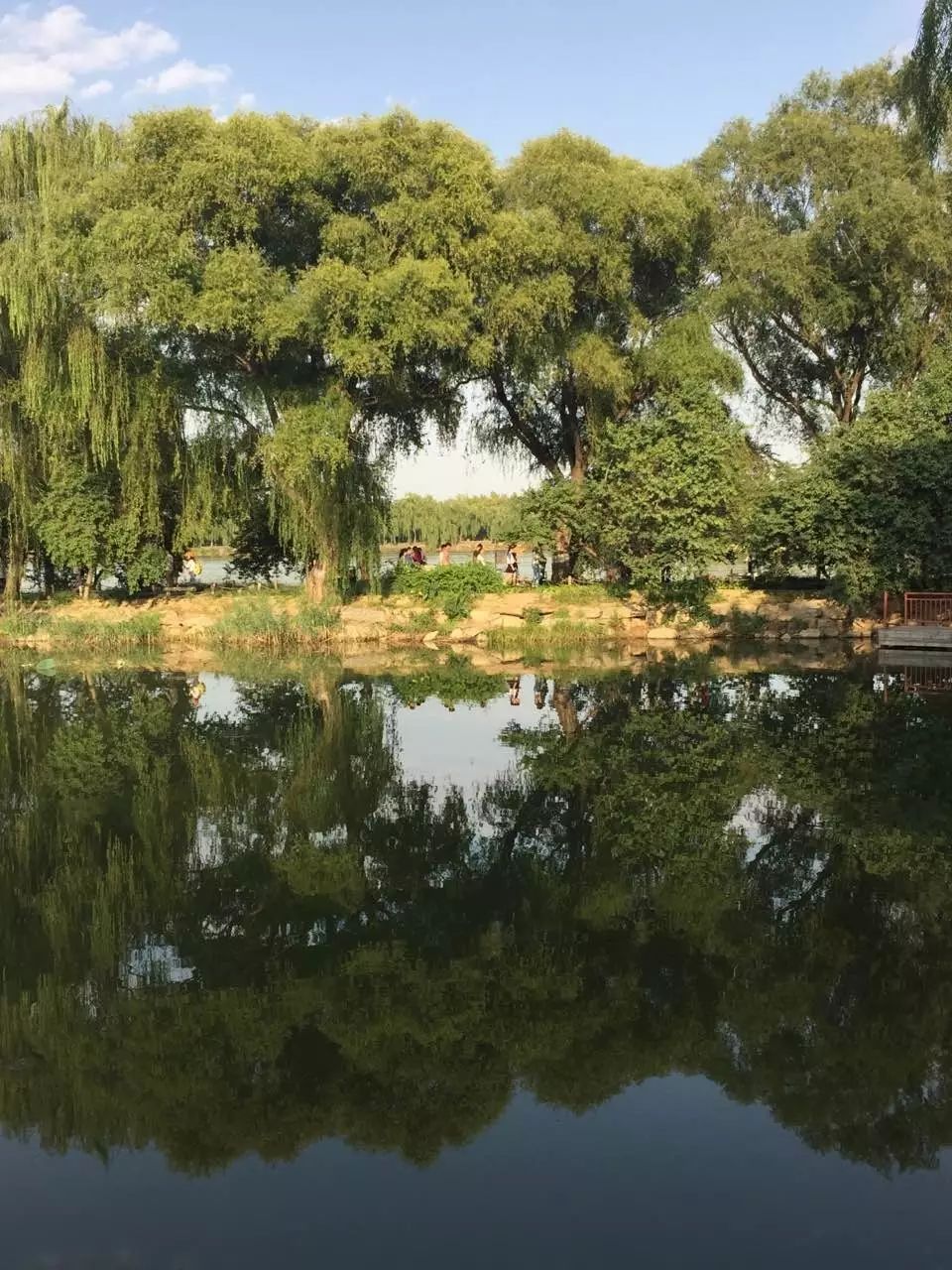 不要自己套上评价的笼头,把缰绳交到别人手上-析模界