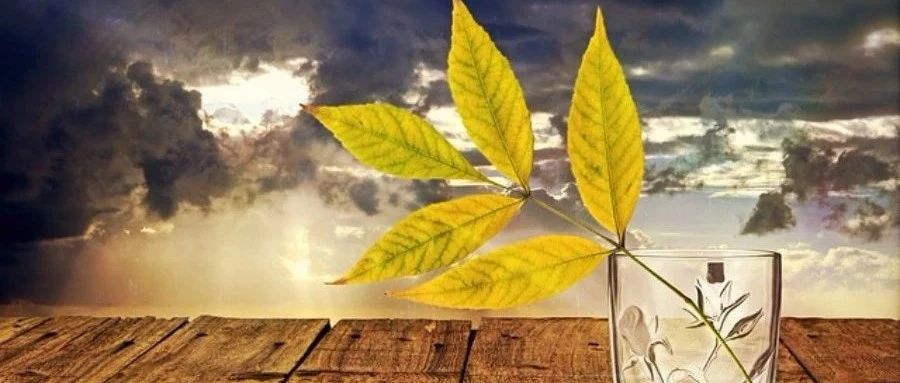 OpenFOAM|23 ICEM CFD转换轴对称网格-析模界