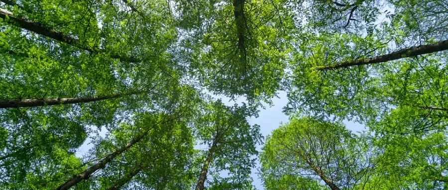 胡言几句解解压-析模界