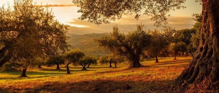 EDEM 2020与Fluent 2020R1耦合接口编译-析模界